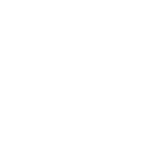 Traust Brewing Company