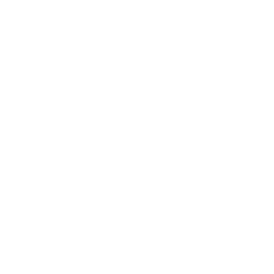 Petty Thieves Brewing Co.