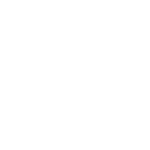 Lenny Boy Brewing Co.